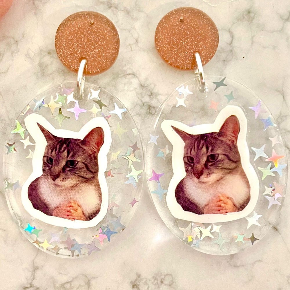 Acrylic Funny Cat Earrings